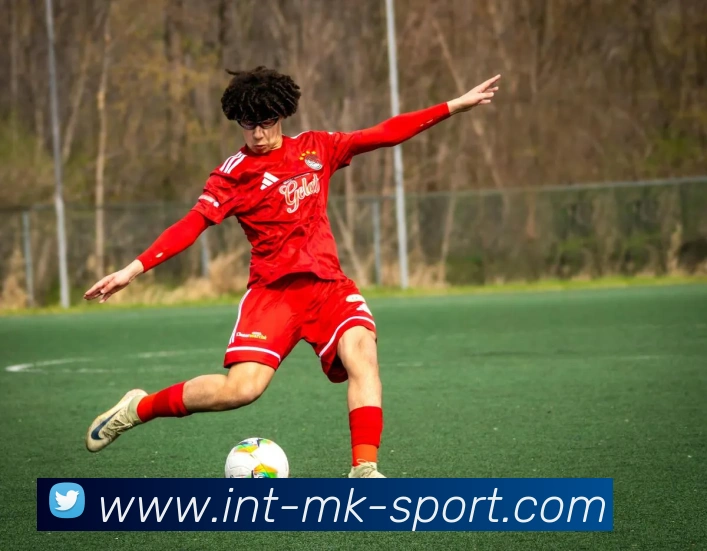 多媒体互动体验